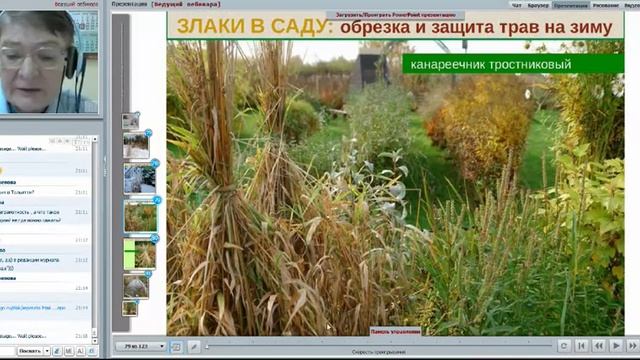 Вебинар Татьяны Желтовской "Все о злаках", часть 5 смотреть онлайн