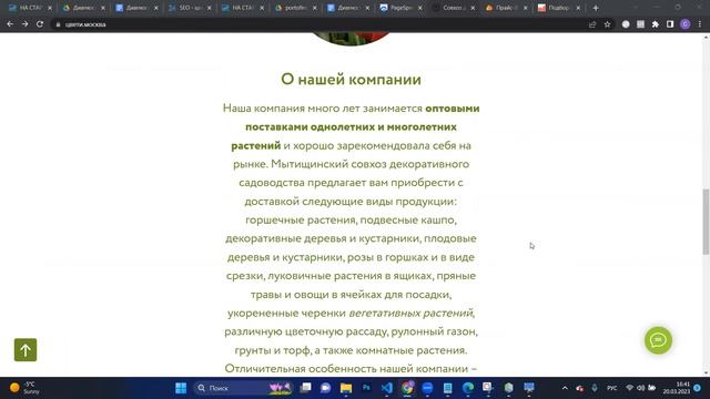 SEO-аудит - цвети.москва смотреть онлайн