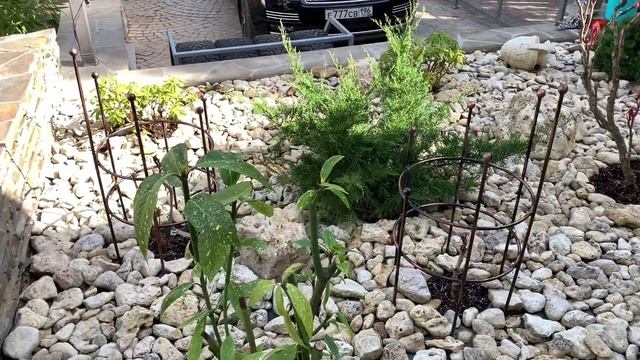 Металлические цветочники | Кузня Комаричева