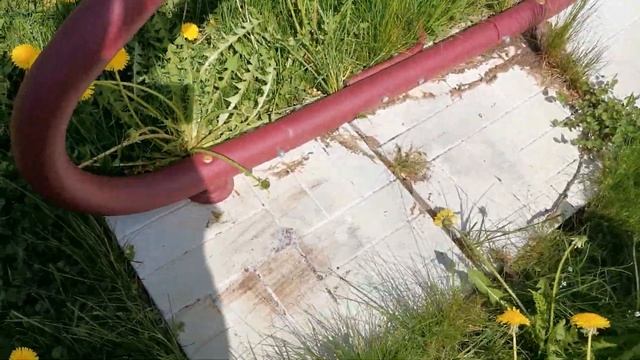 19 мая! День Пионерии! На даче ветрюга... смотреть онлайн