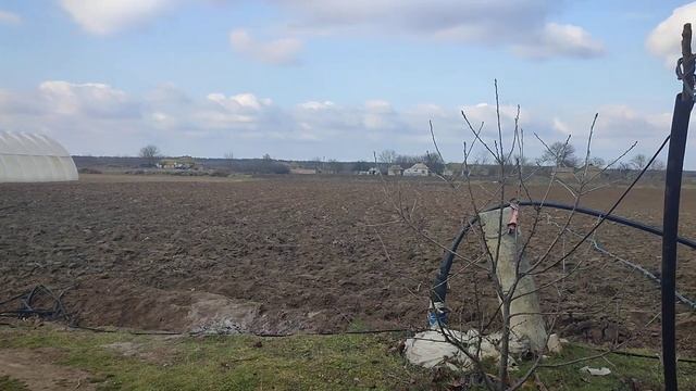 Херсонская область погода очень плохая в пятницу смотреть онлайн