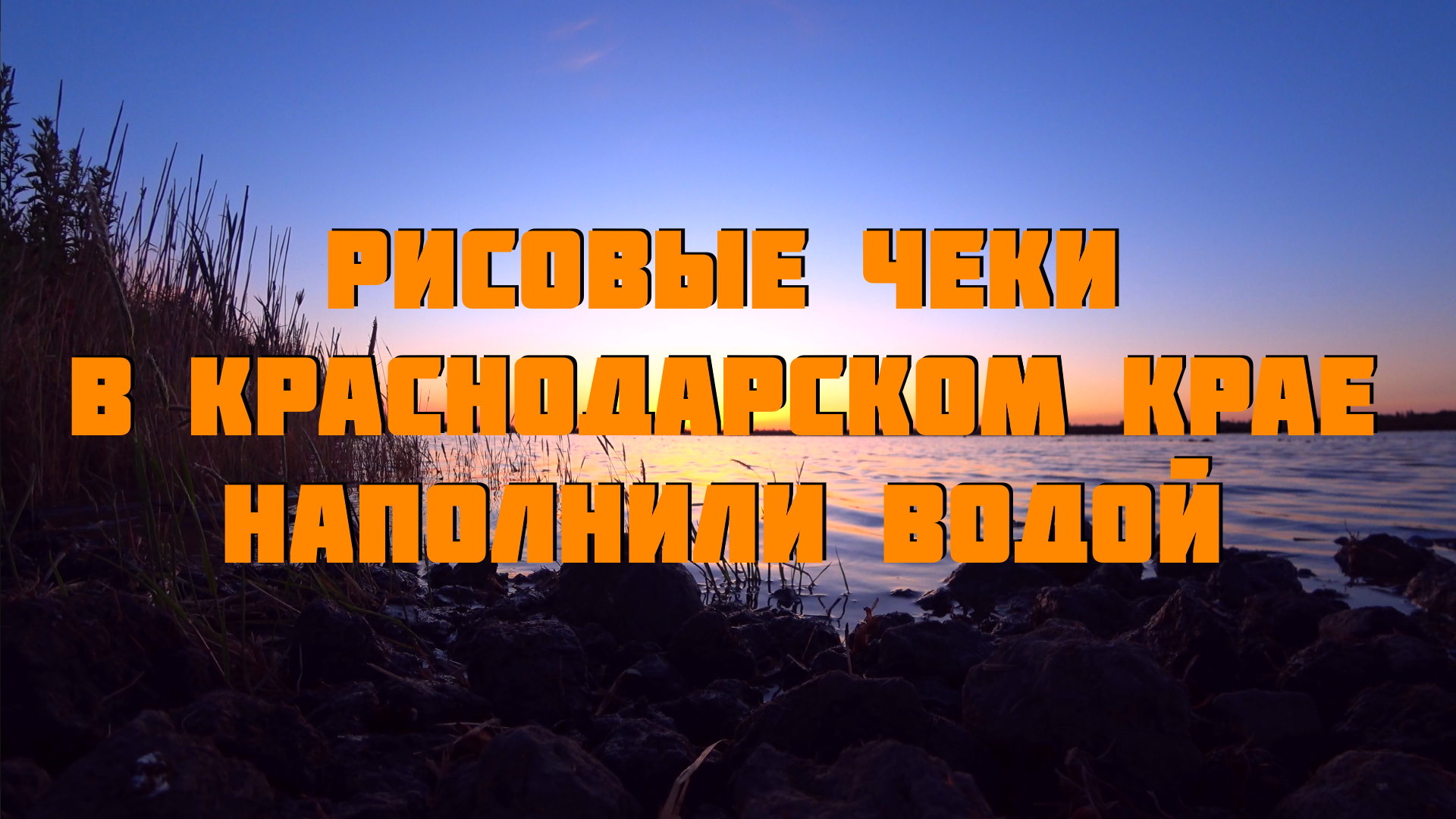 Рисовые чеки в Краснодарском крае наполнили водой | Дефицита риса в РФ не ожидается! смотреть онлайн