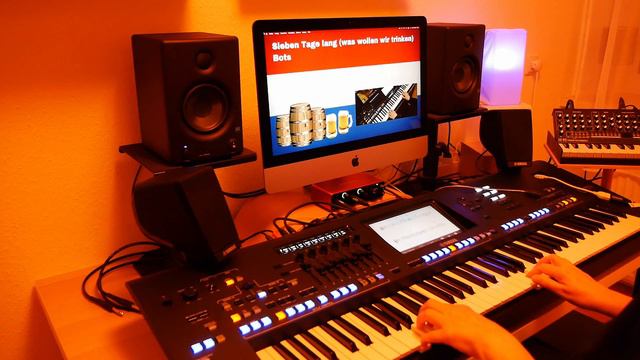 Sieben Tage Lang (was Wollen Wir Trinken) - Bots, Coverversion Yamaha Genos