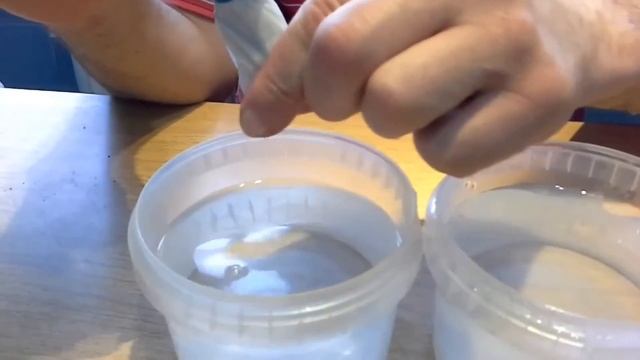 Как разбудить семена астр. смотреть онлайн