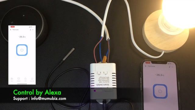 Mumubiz EWeLink TH16 Smart Switch