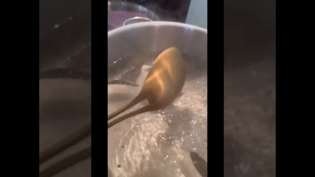 Сегодня готовим 🦀 крабов и делаем Цезарь с креветками! #арусякавказ #краб #крабыотаруси смотреть онлайн