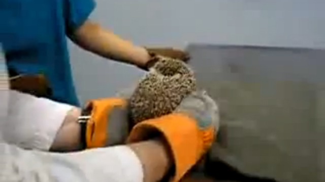 Так кричат ёжики... смотреть онлайн