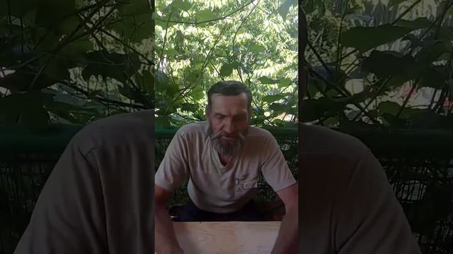 Я Человек@ Василий Васильевич Бушуев смотреть онлайн