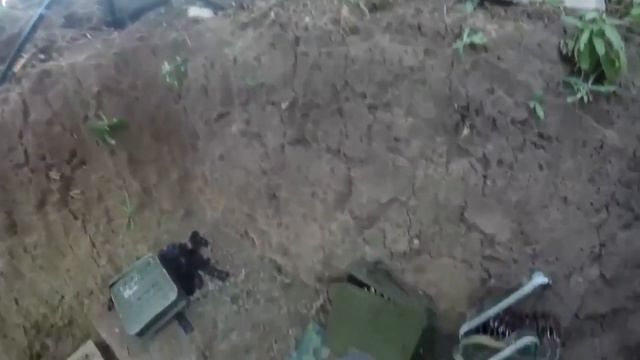 Все! Скрывать больше невозможно! смотреть онлайн