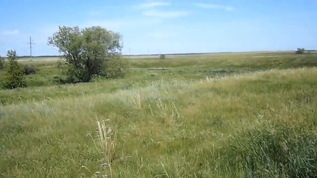 КЛАДОИСКАТЕЛИ СИБИРИ смотреть онлайн