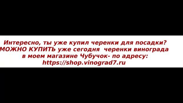 Головчатая формировка винограда на маточниках подвойных и привойных лоз интенсивного типа. Пузенко смотреть онлайн