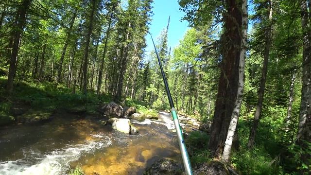 РЫБАЛКА за хариусом Междуреченск - Кизес - Изыгаш - Ортон. Красота местной природы. смотреть онлайн