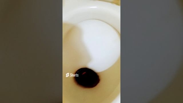 сынок ты в унитас упал.mp4 смотреть онлайн