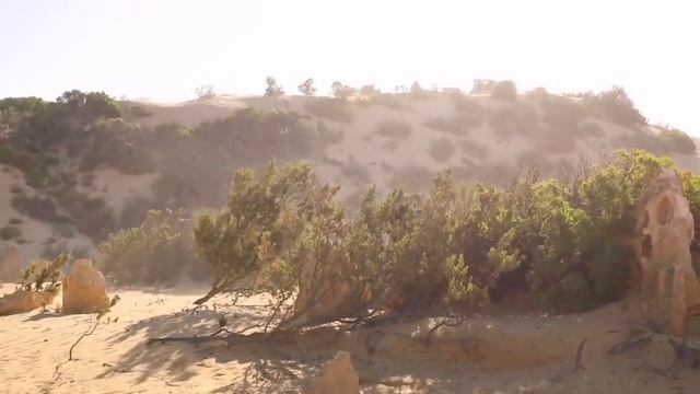 Hazrat Umer (R.Z) ki zindgi ka AK waqia ||#talhahistoricalvoice|| смотреть онлайн