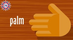 Части тела на английском языке | Для детей и начинающих