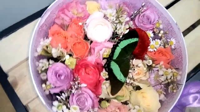 Букет цветов с живой бабочкой от Магазина бабочек смотреть онлайн