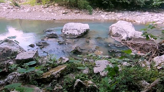 Безумно красивая прогулка по Тисо-Самшитовой роще. Хоста (Сочи). смотреть онлайн