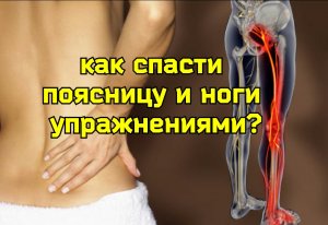 Как освободить 5 нервов поясницы, заодно укрепить живот и суставы ног? Поможет упражнение «складка»