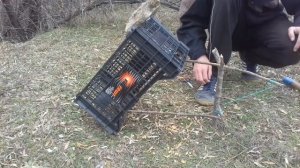 Охота на птицу. Поймал голубя! Установка ловушки.