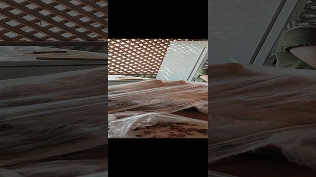 Абхазия жжёт! Цены в дегустационных центрах космические! смотреть онлайн