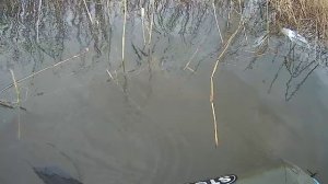 рыбалка на сети весной в разлив