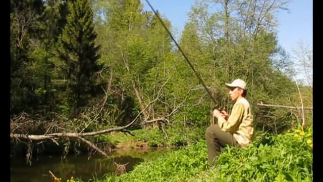 Лесная речка смотреть онлайн