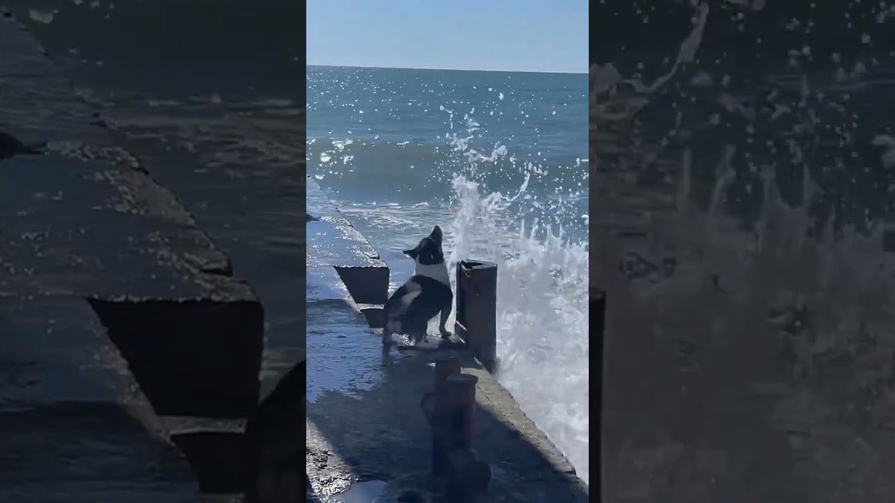 08.04.23 г. Все еще облачно и прохладно +11C, но сабокенам, погода нравится #shorts смотреть онлайн