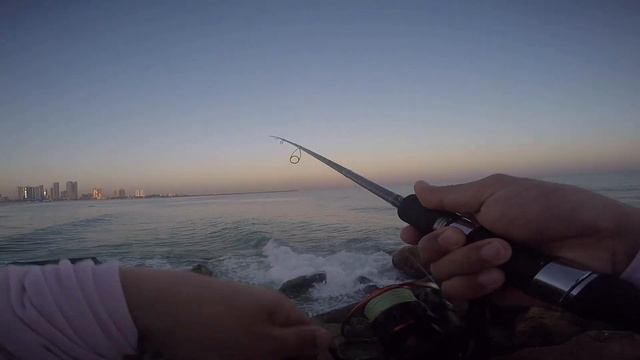 UNLIMITED FISH STRIKES | SHORE JIGGING | BARRACUDA | ORANGE SPOTTED TREVALLY | QUEEN FISH | AJMAN смотреть онлайн