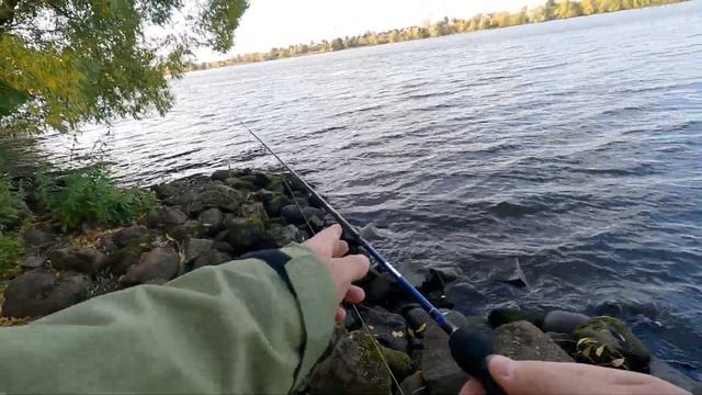 ПРОСТО ПОГОВОРИМ О РЫБАЛКЕ. ЛОВЛЯ НА СПИННИНГ. ОБНОВИЛ СПИННИНГИ. МОИ СТРИМЕРЫ смотреть онлайн