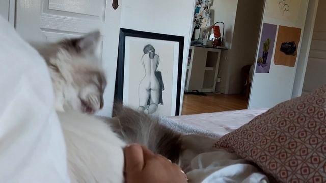 CITY GUIDE EPISODE 1 : VLOG À TOULOUSE II Marion Louisa en Tour de France смотреть онлайн