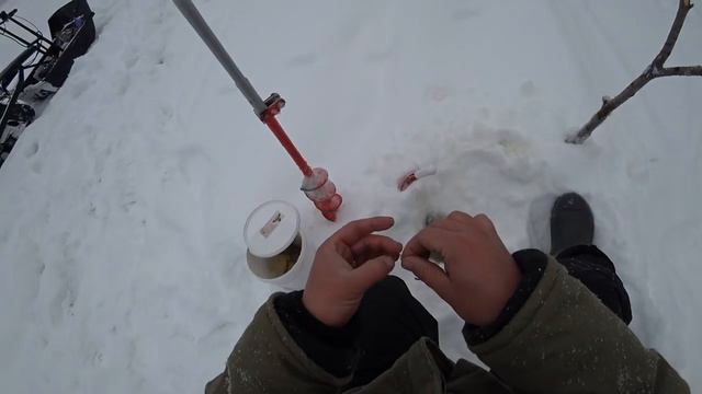 ЭТОТ ПЕСОК, МЕНЯ НЕ РАЗОЧАРОВАЛ\ ПРОВЕРКА ДОНОК НА НАЛИМА\ В ПОИСКАХ ЖИВЦА\ ФЕВРАЛЬ\ РЫБАЛКА 2020! смотреть онлайн