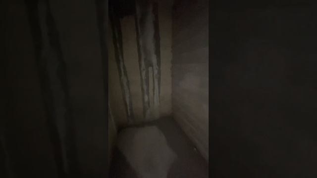 1-комнатная квартира в ЖК Геометрия (Кудрово) смотреть онлайн