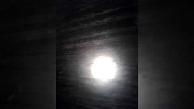 Как сделать ошейник для кошки своими руками :) смотреть онлайн