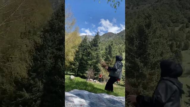 Пик Ник 🏕 смотреть онлайн