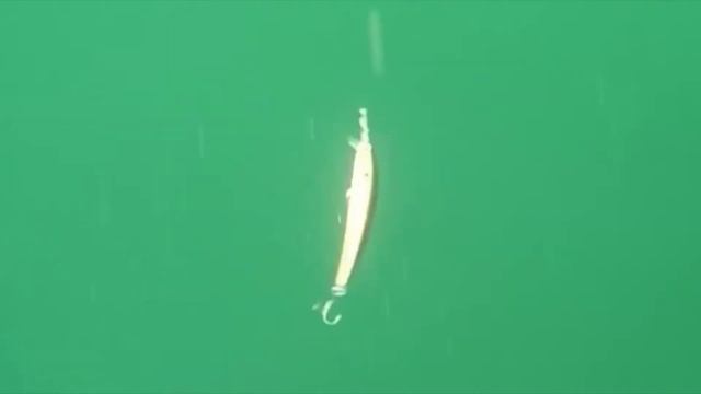 СТРАЙК ПРО Арк минноу обзор воблера strike pro Arc minnow братья щербаковы воблер на щуку окуня тви смотреть онлайн