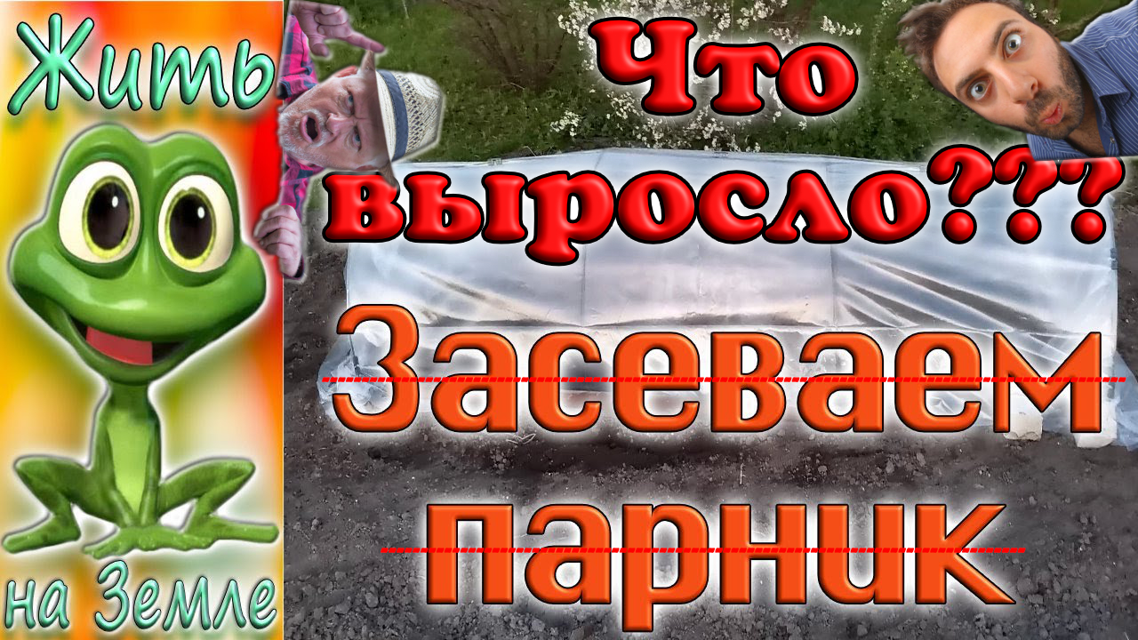 Что растёт в парнике? И растёт ли вообще? Секрет раскрыт!