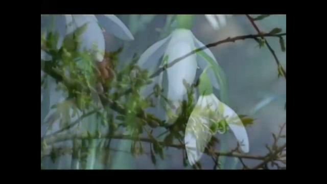 Загрязнение природы  Задумайтесь  1080p