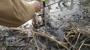 СЕКРЕТНАЯ НАСАДКА – КЛЮЁТ ЛУЧШЕ, чем на ЧЕРВЯ и ОПАРЫША!! КАРАСЬ на ПОПЛАВОК в АПРЕЛЕ!!