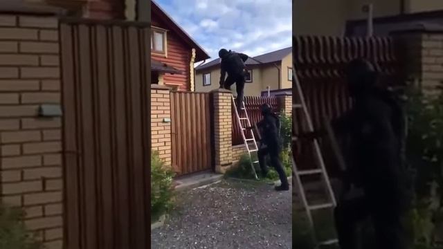 Видео,приколы,юмор,смех смотреть онлайн