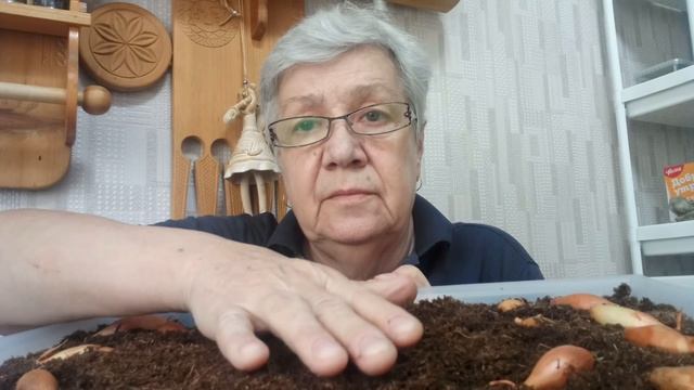 502. Хороший урожай лука , это просто... смотреть онлайн