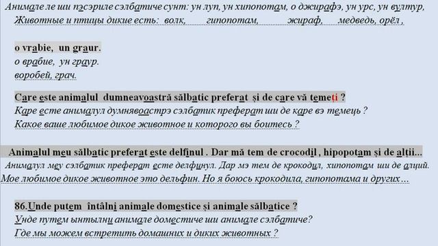 81 -90 вопросов про животных для румынской присяги смотреть онлайн