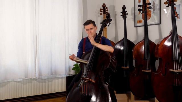 Schubert — Arpeggione Sonata: Tutorial with Dominik Wagner, Double Bass. Part 1 of 9 (Mov. 1) смотреть онлайн