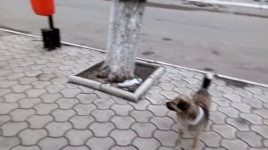 Ира ОПОЗДАЛА НА УРОК И НЕ ПОШЛА В ШКОЛУ