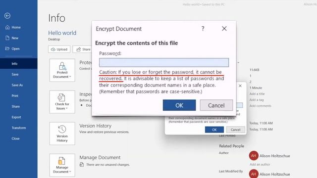 How to Password Protect a Word, Excel or PowerPoint File [2022] смотреть онлайн