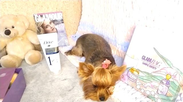 Стоит ли покупать?Коробочки красоты//GlamBag//ГлэмБэг №10 2019/ смотреть онлайн