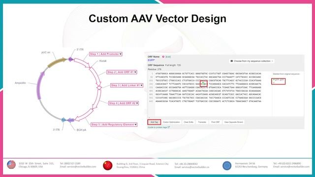 VectorBuilder Inc. | Adeno-Associated Virus (AAV) Packaging Services #genetherapy #customcloning смотреть онлайн