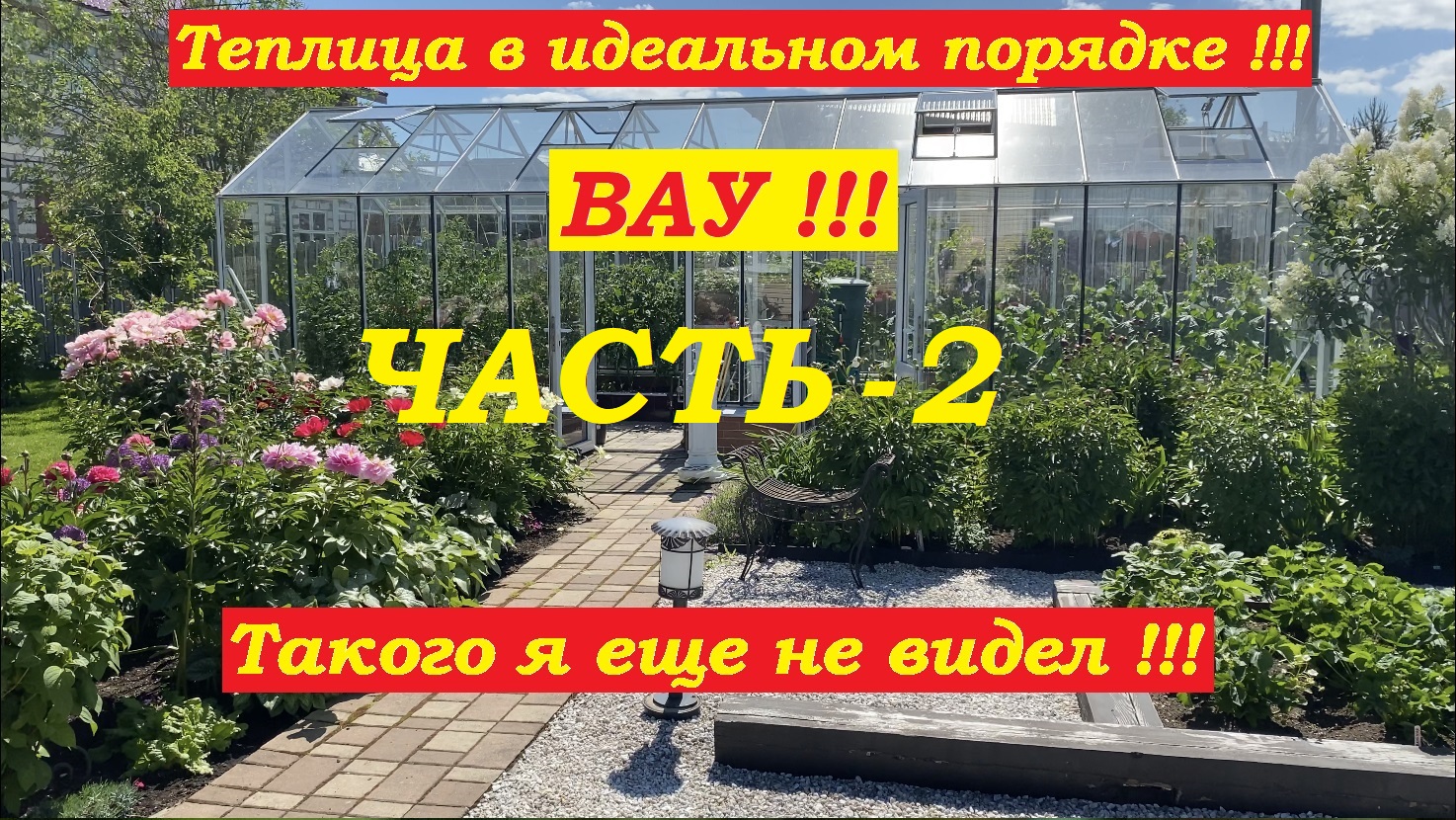 Теплица с томатами и огурцами в идеальном порядке! Вау!!! Такого я еще не видел !!! ЧАСТЬ-2. смотреть онлайн