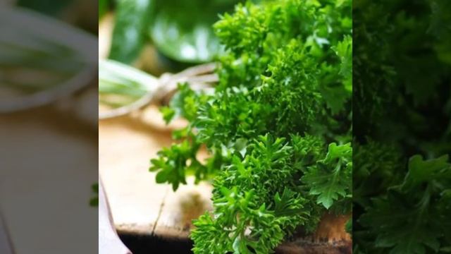 Домашний кулинарный курс