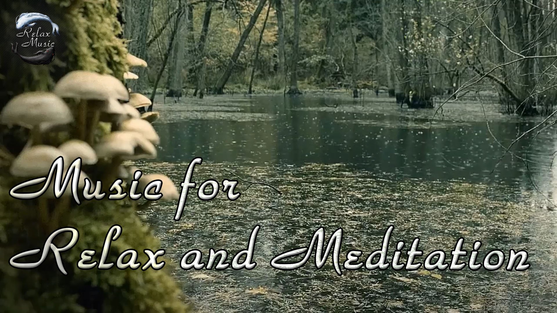 15 минут спокойной музыки на фортепиано со звуками дождя. смотреть онлайн