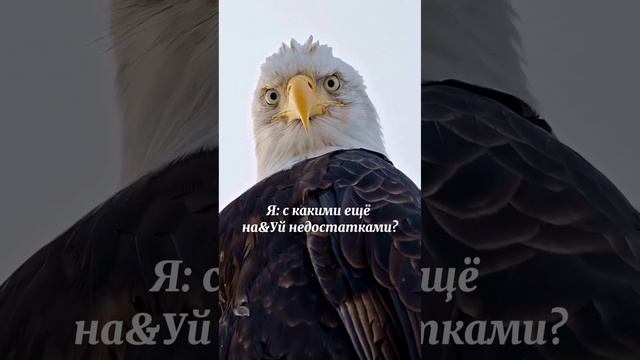 У меня нет недостатков, я идеальная!